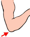 elbow