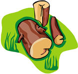 logs